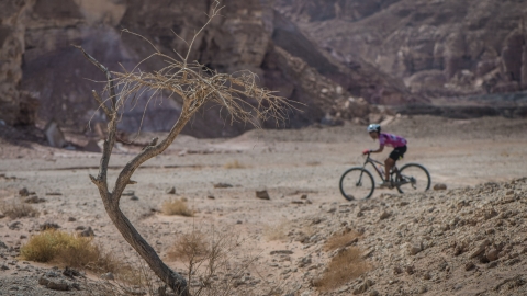 עותק של Igor_Schifris_Smrt_2018-3  2 2000-6.jpg