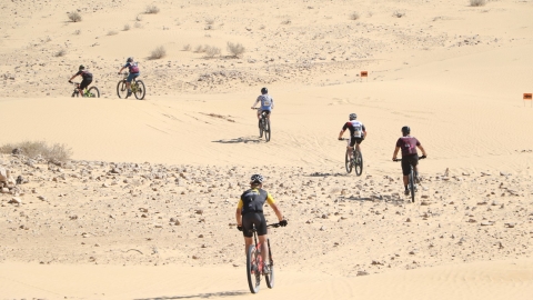 YOAV0070 (Large).JPG