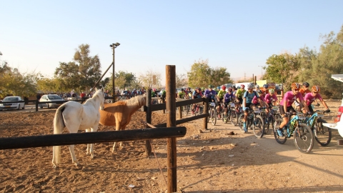 IMG_4628 (Large).JPG