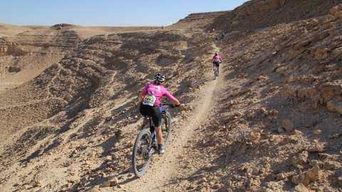 IMG_4783 (Large).JPG