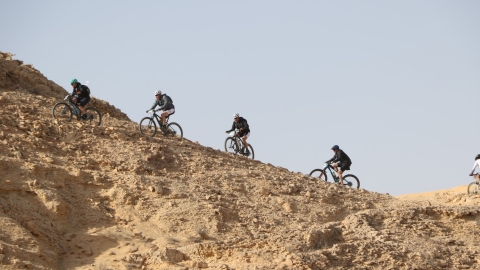 YOAV0279 (Large).JPG