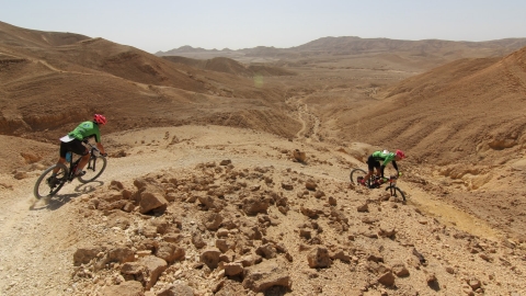 IMG_5370 (Large).JPG