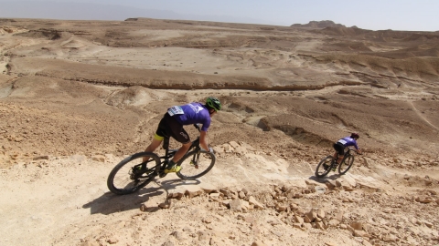 IMG_5394 (Large).JPG