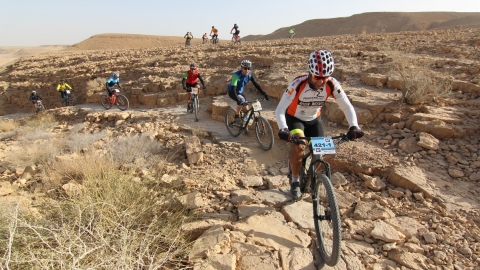 IMG_5232 (Large).JPG