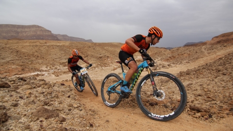 IMG_9246 (Large).JPG