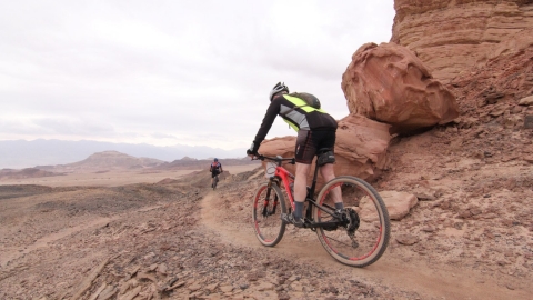 IMG_9615 (Large).JPG