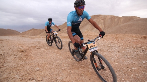 IMG_9016 (Large).JPG