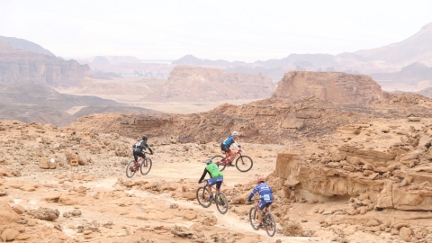 YOAV0653 (Large).JPG