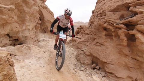 IMG_9533 (Large).JPG