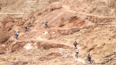 YOAV0743 (Large).JPG