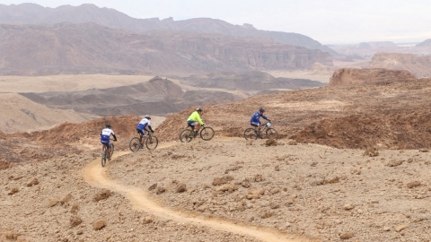 YOAV0733 (Large).JPG