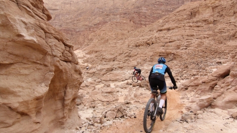 IMG_9542 (Large).JPG